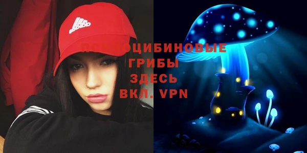 a pvp Яровое