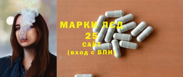 PSILOCYBIN Яранск