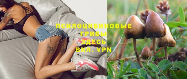 соль ск Вяземский