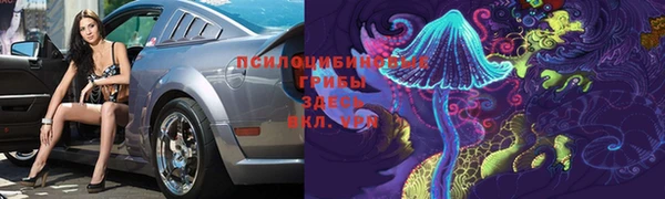 соль ск Вяземский