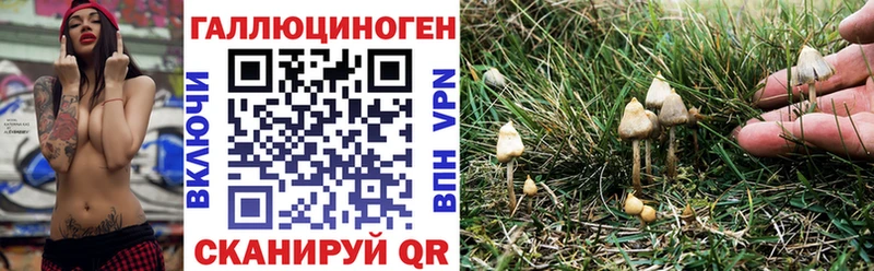 Галлюциногенные грибы MAGIC MUSHROOMS как найти Гусиноозёрск
