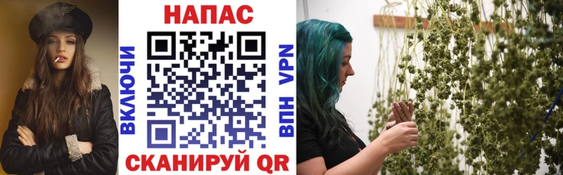 Шишки марихуана White Widow  Гусиноозёрск 